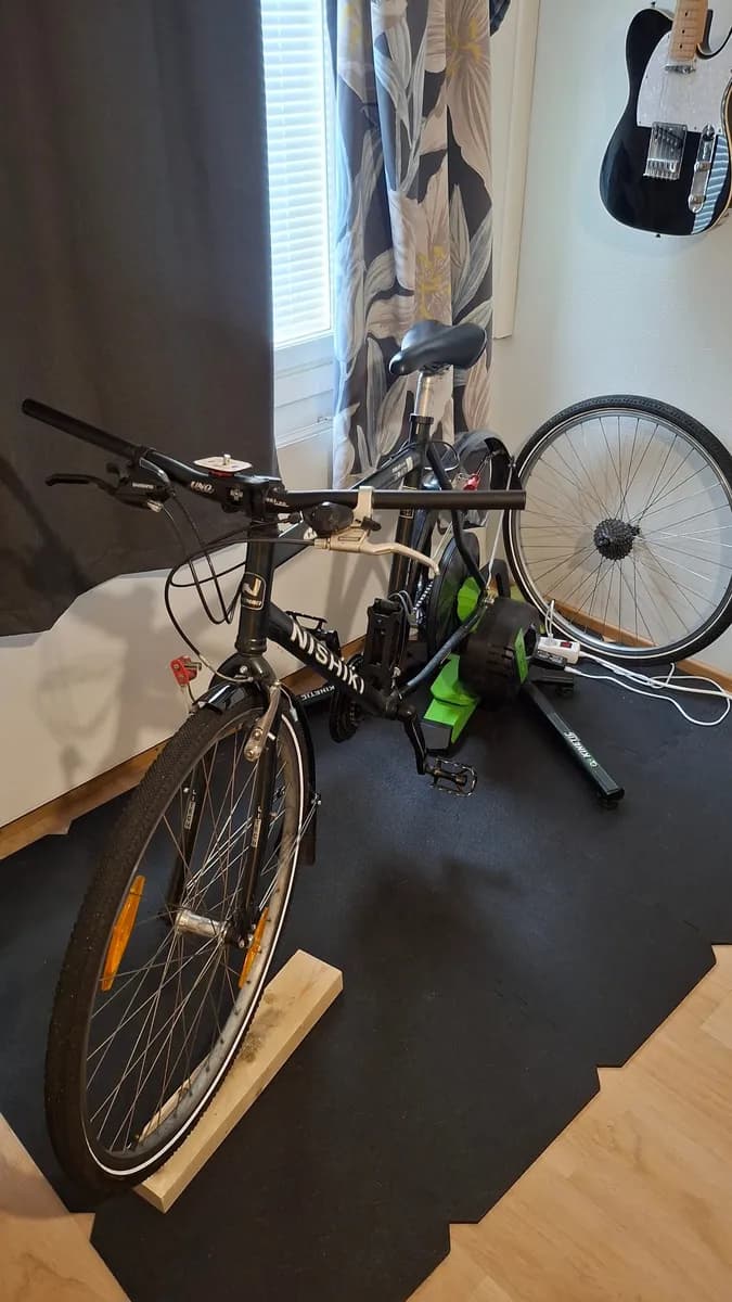 Nishiki 601 hybrid