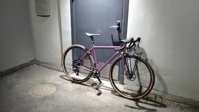 Surly  straggler 