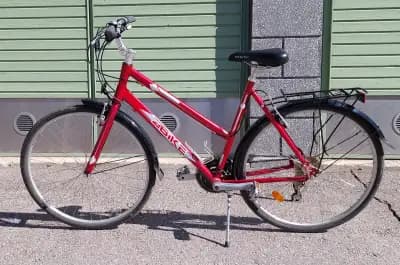 Zbike Roadstar 