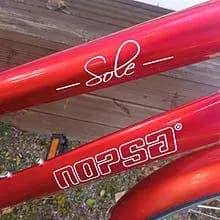 Nopsa