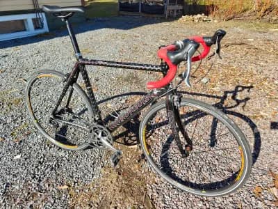 Focus Bikes Cayo